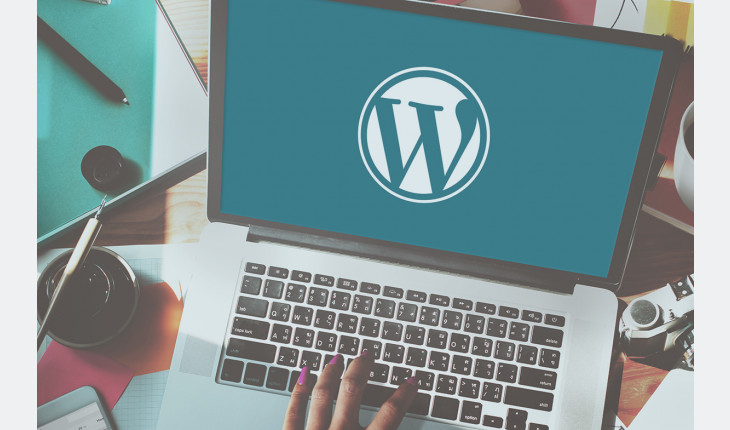 I will fix your wordpress website issues or errors